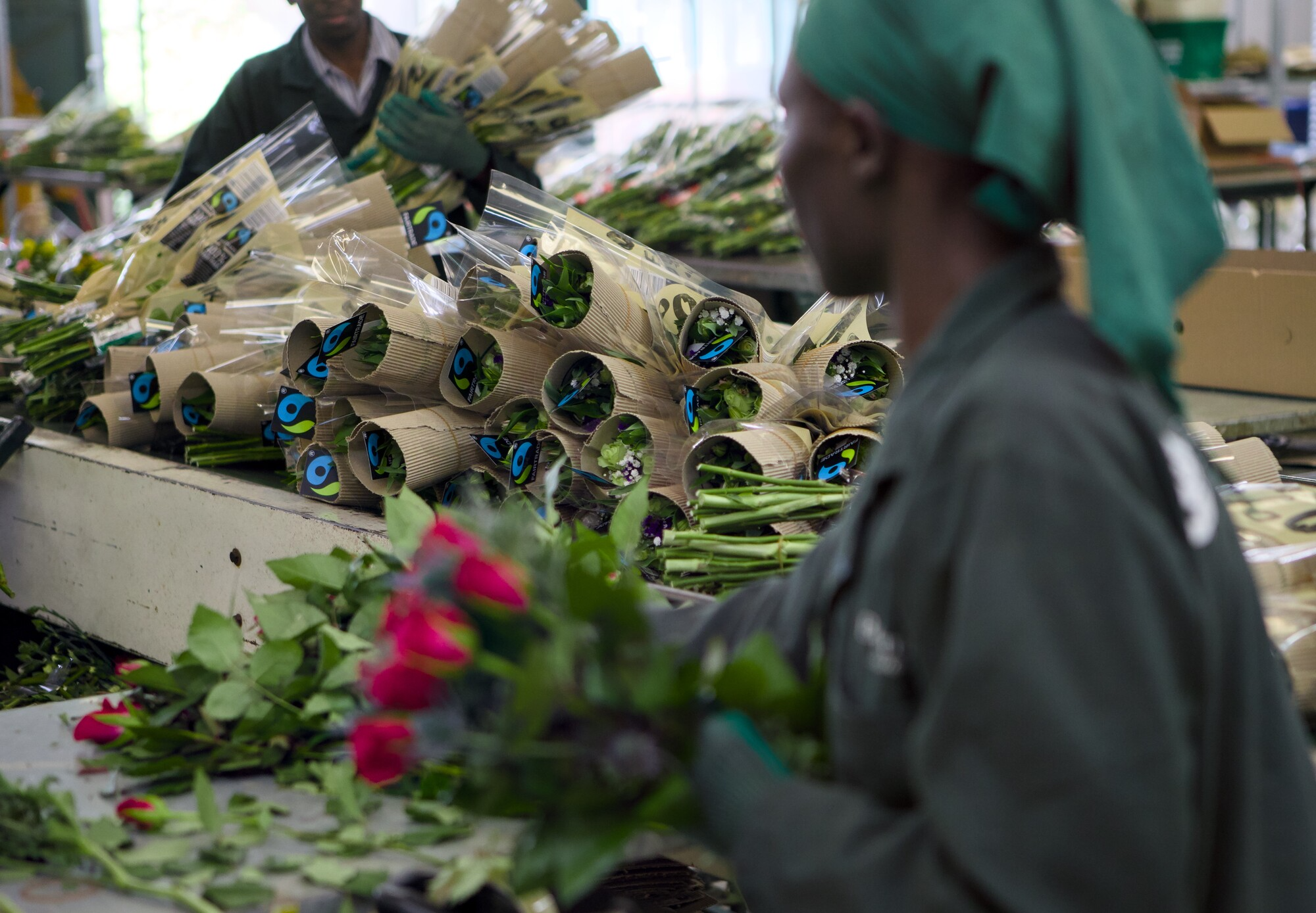 Kenya Bohemian Flowers Limited