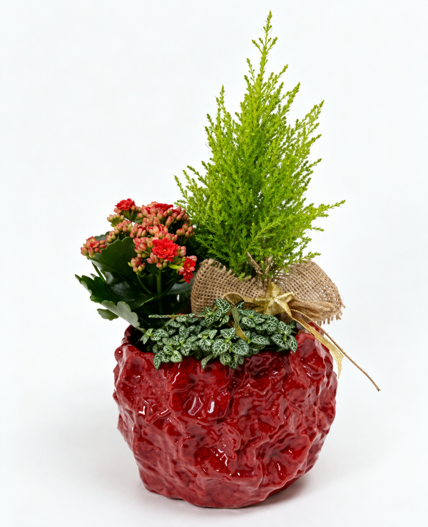 Composizioni stagionali e festività Eurofresh