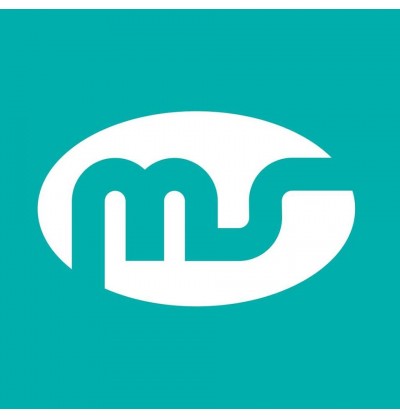 ms logo