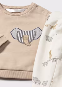 completo elefante - 2