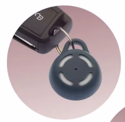 diaspositivo ally key