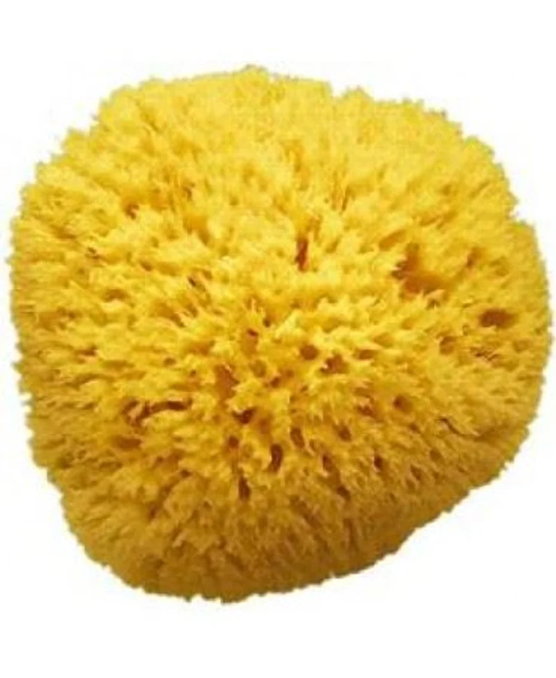 spugna naturale n. 14