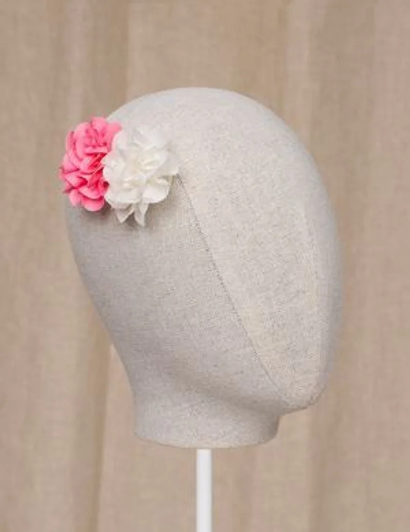 Mollette capelli