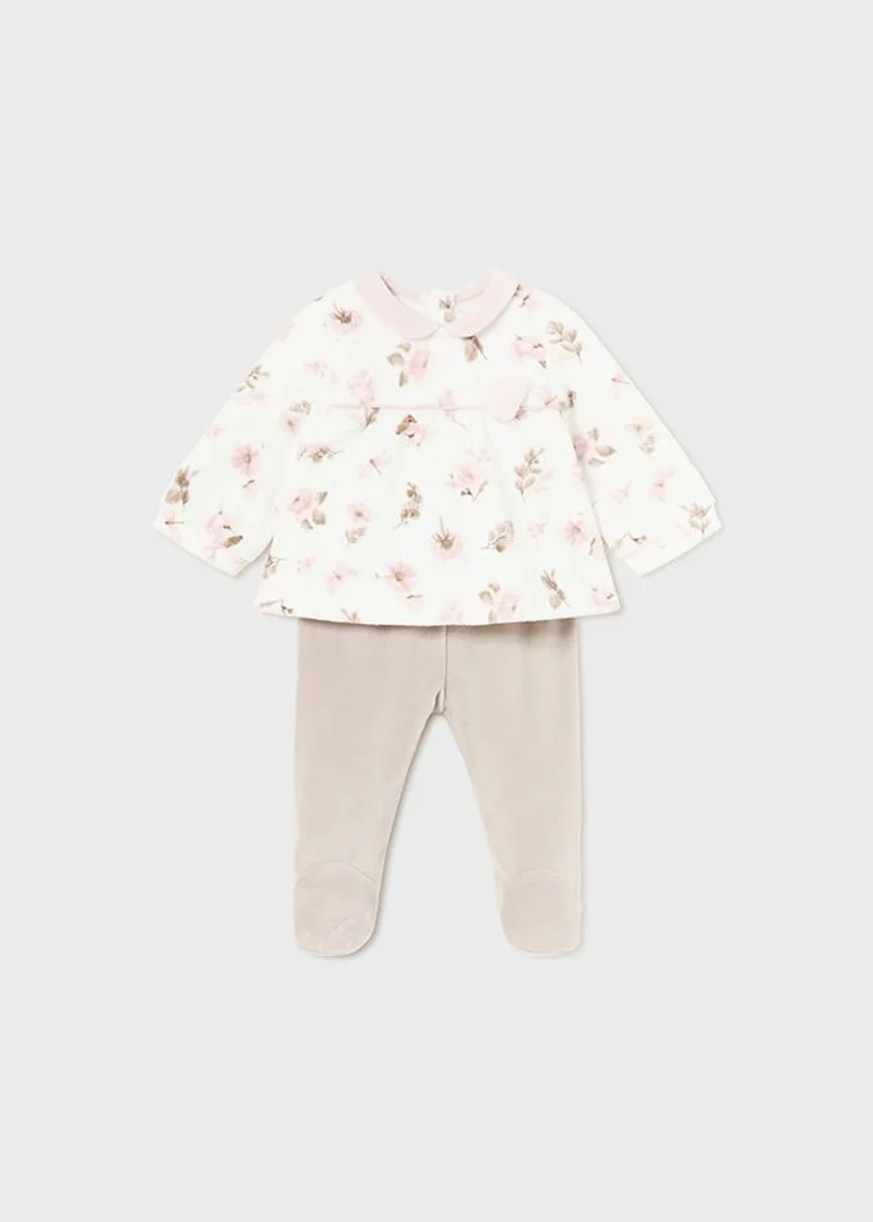 completo bimba